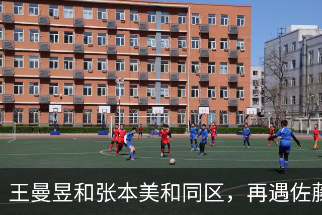 王曼昱和张本美和同区，再遇佐藤瞳，孙颖莎和早田希娜同区